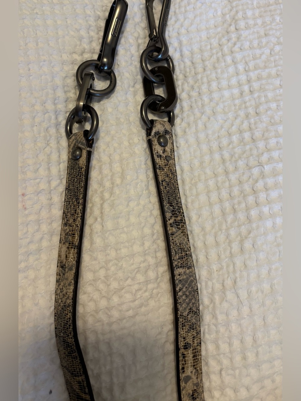 Coach Snake-Print Shoulder Strap